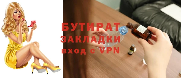 индика Каменка