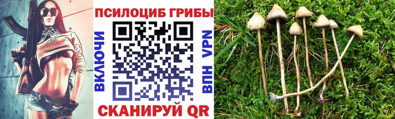 Псилоцибиновые грибы Magic Shrooms  Буинск 